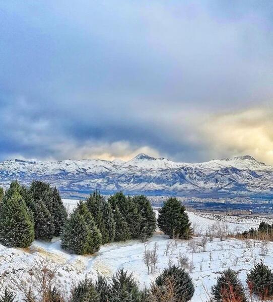 عکس یاس فاطمی