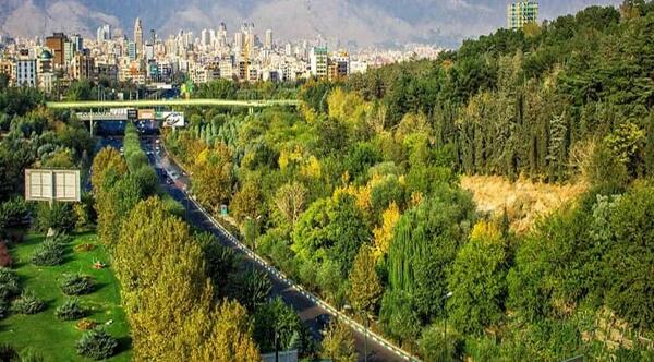 عکس یاس فاطمی