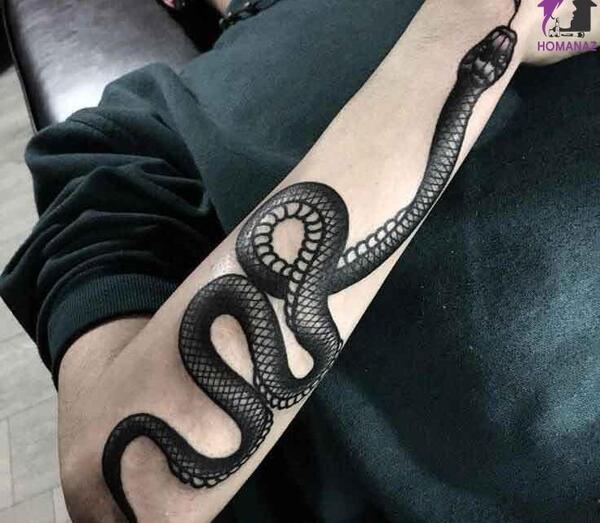 عکس تاتو مار