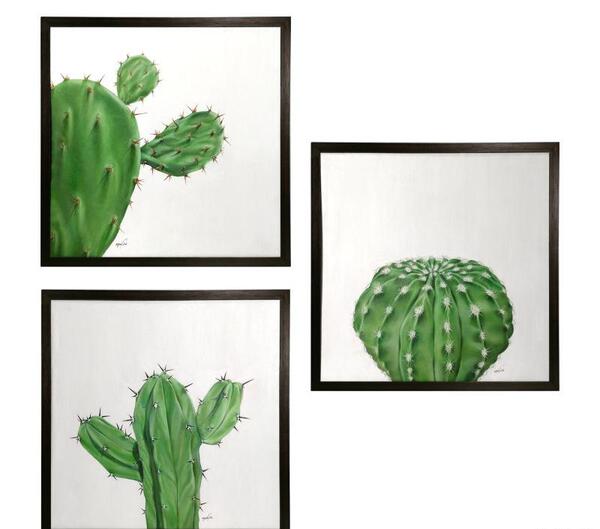 عکس کاکتوس آبی