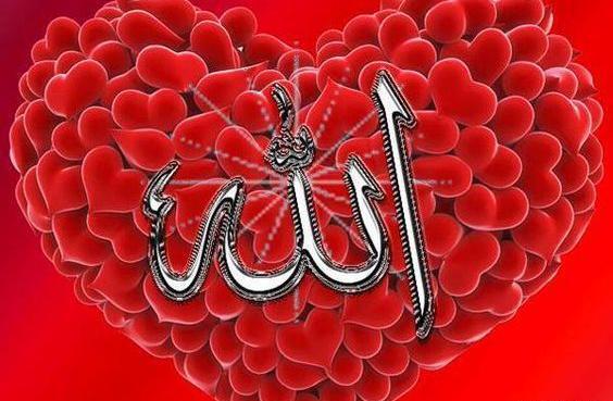عکس برای پروفایل واتساپ الله