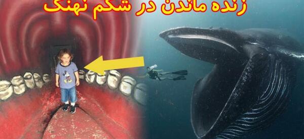 عکس داخل شکم نهنگ