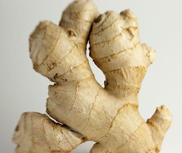 عکس زنجبیل