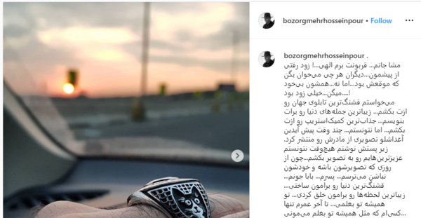 عکس گربه فرشته