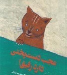 عکس گربه فرشته