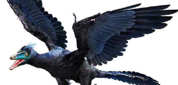 عکس دایناسور بالدار