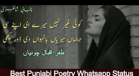 عکس آئودی طلا