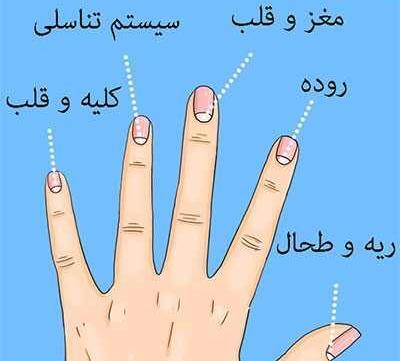 عکس طرح ناخن دخترانه ضربان قلب