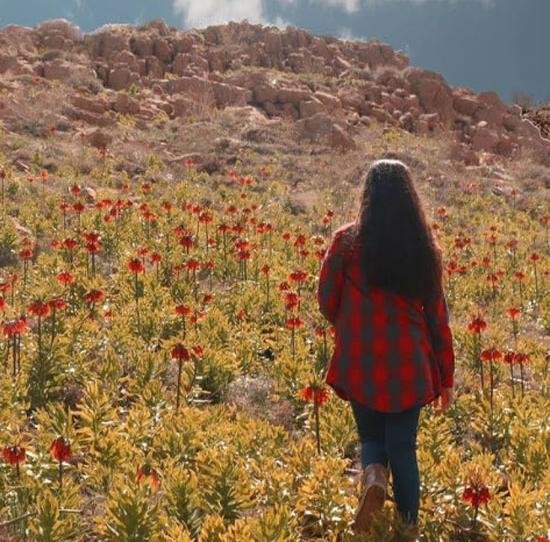 عکس پروفایل دخترانه شیک تابستانی