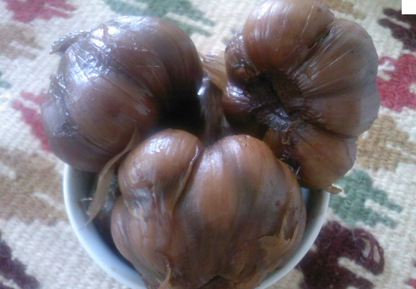 عکس سیر