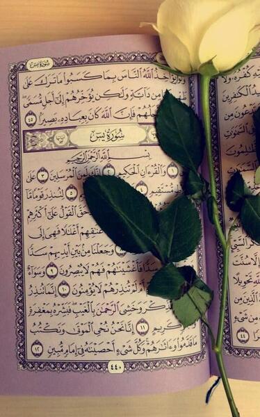 عکس پروفایل گروه قرآنی