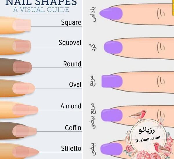 عکس مدل ناخن گرد کوتاه