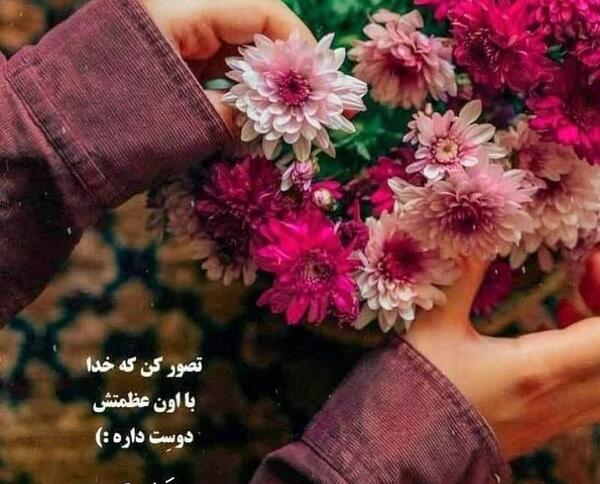 عکس برای پروفایل واتساپ ستایش