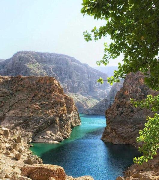 عکس های زیبا صبحانه