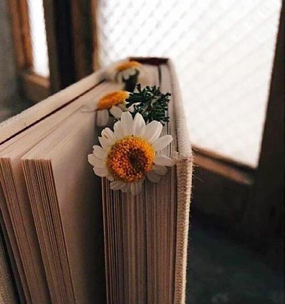 عکس پروفایل اینستا طبیعی