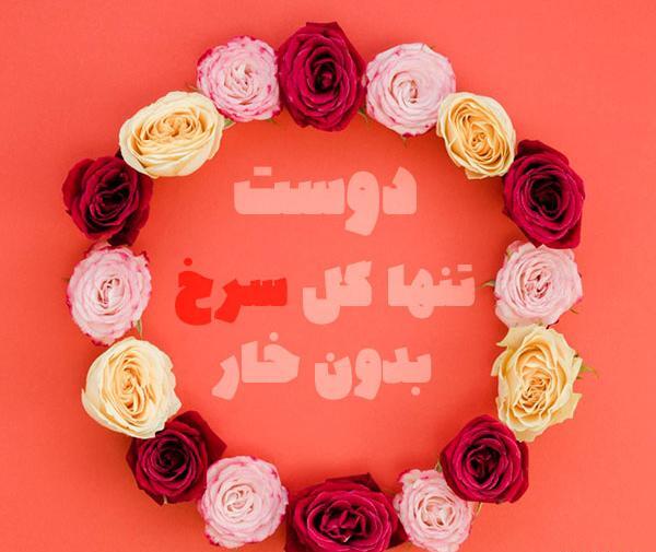 عکس پروفایل گروه صمیمی