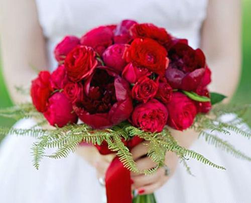 عکس غنچه قرمز