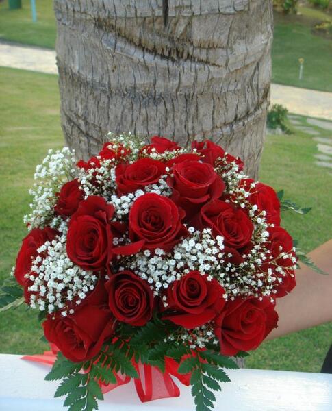 عکس غنچه قرمز