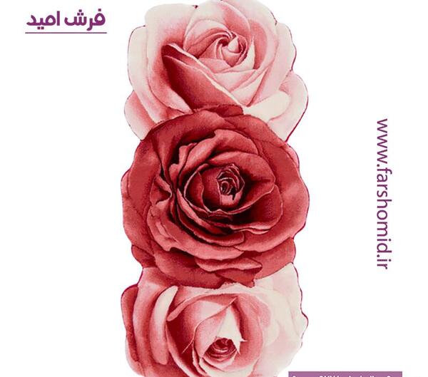عکس غنچه قرمز