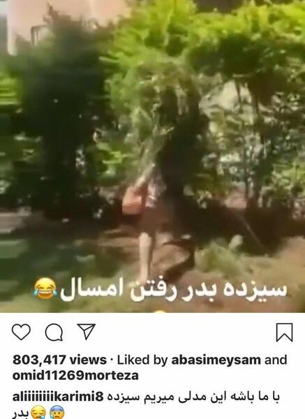 عکس سیزده بدر الناز شاکردوست