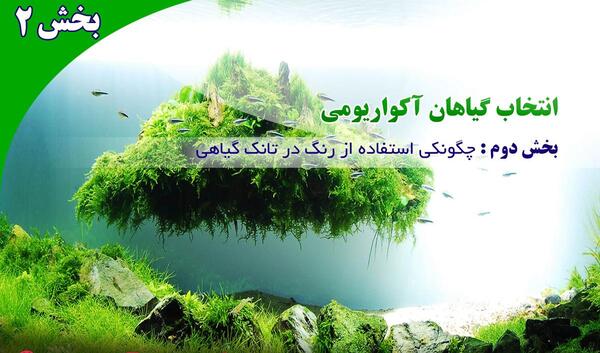 عکس روز طبیعت مبارک