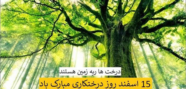 عکس روز طبیعت مبارک