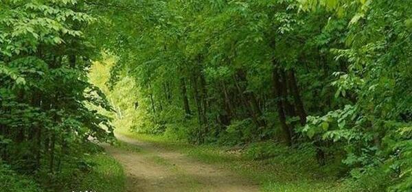 عکس روز طبیعت مبارک