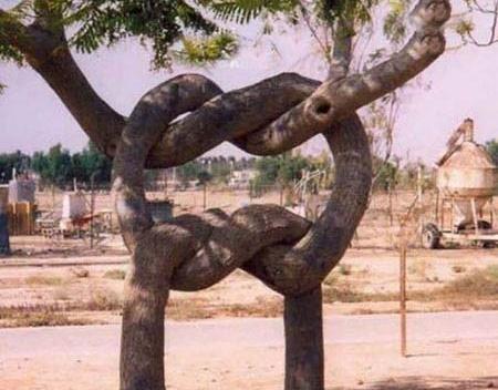 عکس روز طبیعت مبارک
