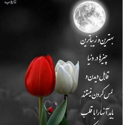 عکس زیباترین دنیا