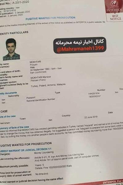 عکس بارداری نیلی افشار