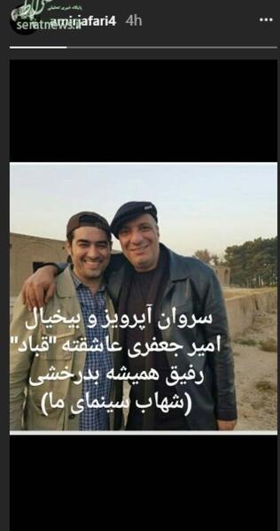عکس بارداری نیلی افشار