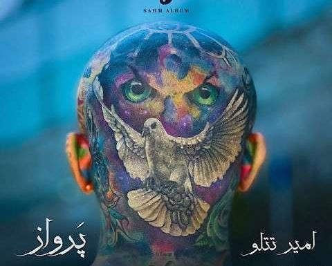 عکس بارداری نیلی افشار