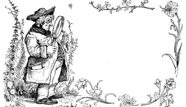 عکس سفید طرح دار ساده
