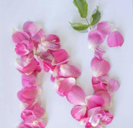 عکس های عاشقانه حرف n