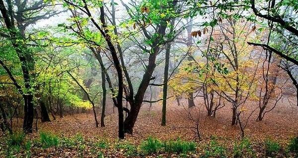 عکس های زیبا طبیعت ایران