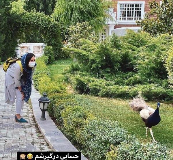 عکس حیوان سبز