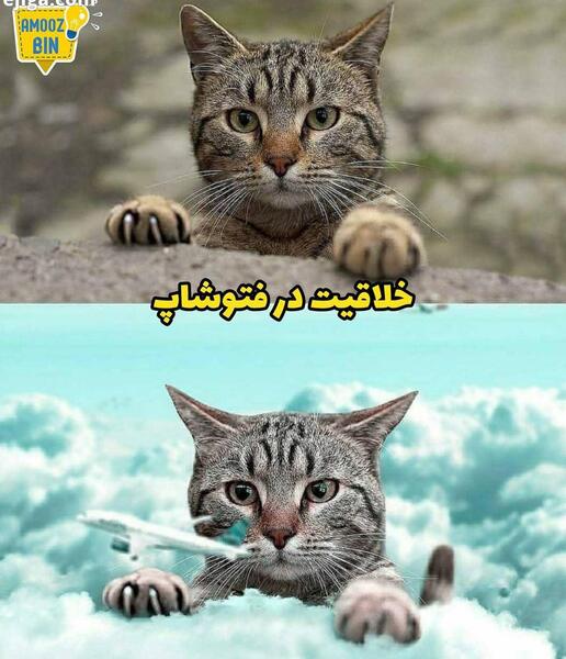 عکس حیوان سبز