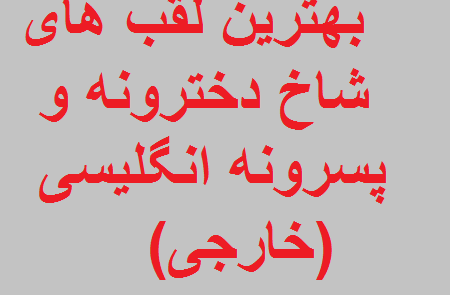عکس های فیک پسرونه لاتی