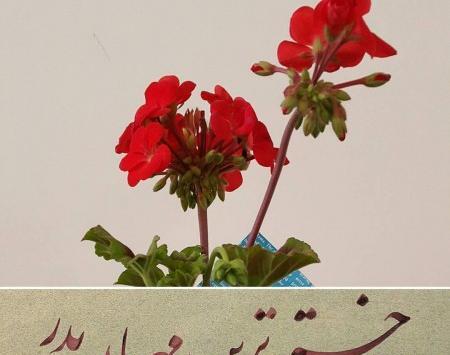 عکس از روز پدر