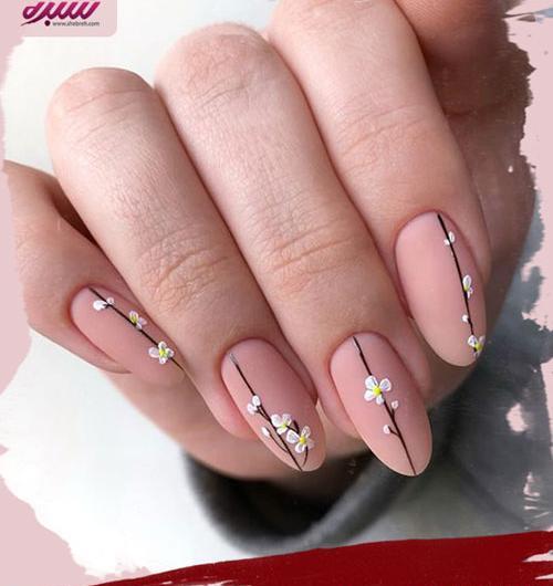 عکس مدل ناخن ساده با لاک