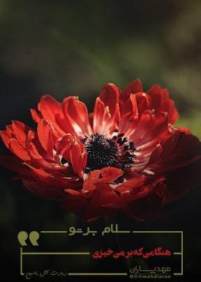 عکس نوشته سلام صبح بخیر قرانی