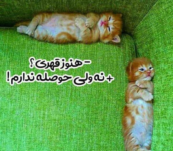 عکس دنیا سیرم ازت