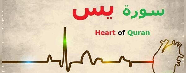 عکس دنیا سور