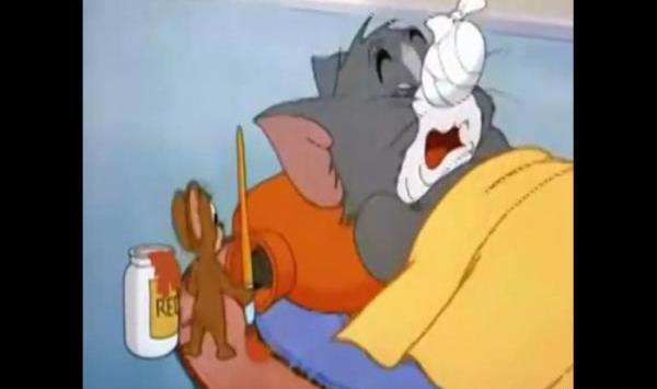 عکس گربه و موش