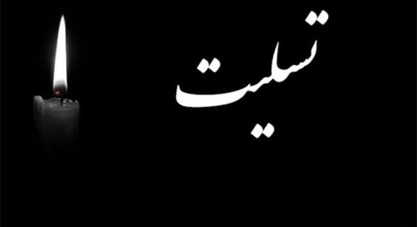 عکس نگین خانم