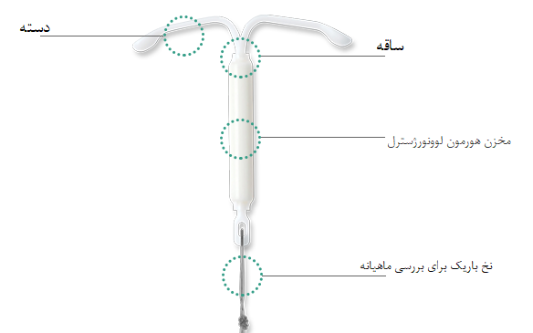 عکس آئودی در ایران