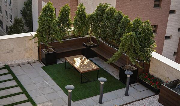 عکس یاس هلندی