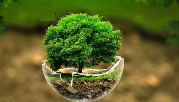 عکس سیزده بدر برای وضعیت واتساپ