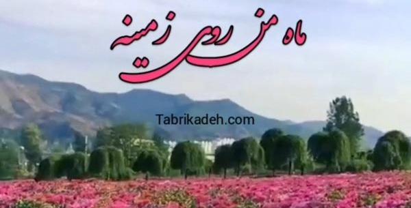 عکس برادر راغب