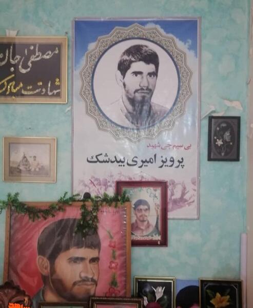 عکس دنیا کمالی
